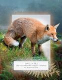 Zvuková kniha: Zvieratá našich lesov