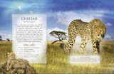 The Little Book of Safari Animal Sounds, zvuková kniha, 9781908489364