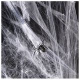 Pavučina s pavúkmi