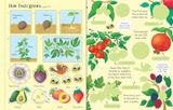 First Sticker Book: Fruit and Vegetables