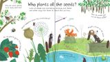 leporelo, kniha pre deti, How Do Flowers Grow?, 9781409582137