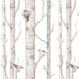 Tapeta Dekornik Scandinavian Birch Forest
