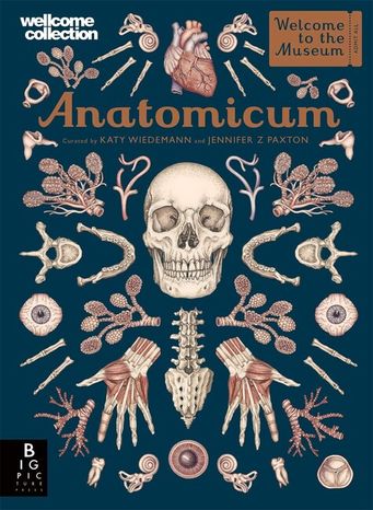 Welcome To The Museum: Anatomicum